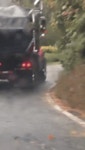 위험했던 라쿤.gif - 스퀘어 카테고리