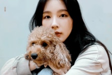 하쿠마타랑 같이 브이앱 해줬던 날 너무 좋아 - 국내유명인 카테고리