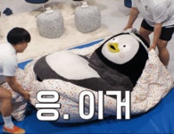 어화둥둥 - 펭수 카테고리