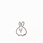 트위터에서 주운 김용짤 - 솔라 카테고리