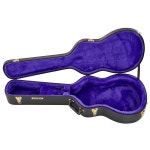 Gretsch G6295 Case – Thomann Italia Gretsch G6295 Case