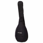 Thomann Lute Guitar Standard Walnut – Thomann Sverige Thomann Lute Guitar Standard Walnut