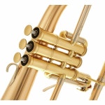 Adams F1 GM Custom 050 170 SL – Thomann UK Adams F1 GM Custom 050 170 SL