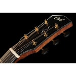 Cort Gold Edge – Thomann Suomi Cort Gold Edge