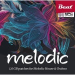 Beat Magazin Melodic – Thomann UK Beat Magazin Melodic