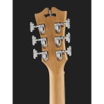 DAngelico Premier Bedford SkyBlue – Thomann Suomi DAngelico Premier Bedford SkyBlue