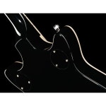 Gretsch G5222 EMTC D.Jet BT BLK – Thomann België Gretsch G5222 EMTC D.Jet BT BLK