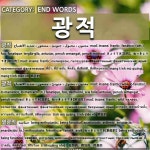 끝나는 말: 광적