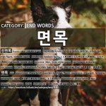 끝나는 말: 면목