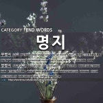 END WORDS: 명지: (1)无名指[무명지] (2)流亡地[망명지]