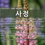 END WORDS: 사정: (1)SITUATION; CIRCUMSTANCES[사정] (2)ASSESSMENT; EVALUATION[사정] (3)EJACULATION[사정] (4)S
