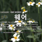 END WORDS: 웨어: (1)SOFTWARE[소프트웨어] (2)COMPUTER HARDWARE[하드웨어]