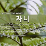END WORDS: 자니: (1)-JANI[-자니] (2)-JANI[-자니]