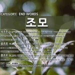 END WORDS: 조모: (1)MATERNAL GRANDMOTHER[외조모] (2)GREAT-GRANDMOTHER[증조모] (3)GREAT AUNT[종조모] (4)GRANDMOT
