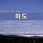END WORDS: 하도: (1)アンダーパス。ちかどう【地下道】[지하도] (2)あまりにも[하도]