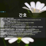 간호: NURSING; ATTENDANCE; CARE