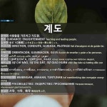 계도: 开导，引导，教导