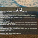 양산: 阳伞