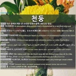 천둥: GUNTUR, GURUH