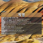 계명항공여행사주 | 계명(階名)