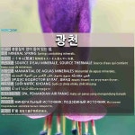 광천: 矿泉