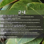 군내: INSIDE A DISTRICT