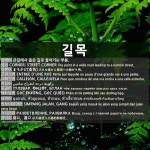 길목: (1)CORNER; STREET CORNER (2)WAY; PATH; PASSAGE (3)CROSSROAD; TURNING POINT; TRANSITIONAL PERIOD