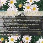 반려: 伴侣，同伴