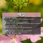 매일: ӨДӨР БҮР