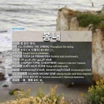봄내: SUỐT MÙA XUÂN