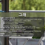 그래요거(Grayogur) 동탄호수공원점 | 그래: (1)そうして。ああして (2)そうであって。ああであって