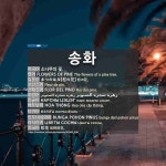 송화: (1)FLOWERS OF PINE (2)PINE POLLEN