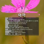 아까: TADI