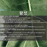 왕성: AKTIF, PENUH, ENERJIK