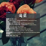 육로: りくろ【陸路】