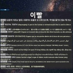 이빨: 牙齿