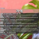 자애: じあい【慈愛】