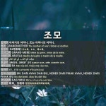 조모: 祖母，外祖母