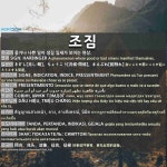 조짐: きざし【兆し・萌】。ちょうこう【兆候・徴候】。まえぶれ【前触れ】