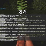 진척: PROGRESS; ADVANCE