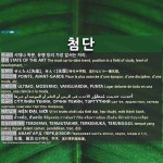 첨단: АВАНГАРД; ПЕРЕДОВОЙ