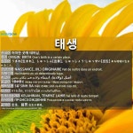 태생: (1)うまれ【生まれ】。しゅっしん【出身】。しゅっしょう・しゅっせい【出生】 (2)たいせい【胎生】