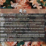 폭소: 大笑，爆笑