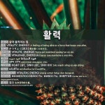 활력: VITALITY; ENERGY