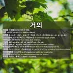 거의: HAMPIR