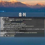 흥에취한범Ⅱ | 흥취: 兴趣,兴味