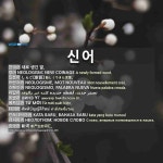 신어: NEOLOGISM; NEW COINAGE