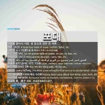 (공)166-3포대 | 포대(包袋)