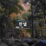 판넬