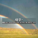 독배토글새우젖 | 새우-: 새우-: